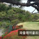 Top스크린골프클럽 | 김해 파3골프장 추천 파플레이골프클럽 가성비와 코스 만족도 최고