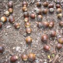 고산목장 이미지