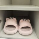 고양이카페 루프캣미 명동점 이미지