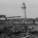 라이트하우스(Lighthouse) 이미지