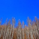 [백석]펜화 이미지