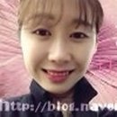 디씨티라인 이미지