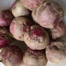 윤선농장 이미지