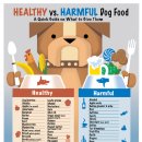 정다운동물병원 이미지