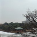 인도미술박물관 | 국립중앙박물관 세계문화관 이슬람 전시 주차 관람후기