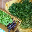 명자농장 이미지