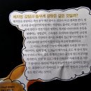 체지방 줄이는 최고의 운동 방법 이미지