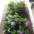 디자인휴먼협동조합 이미지