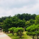 큰집닭강정(당고개점) 네이버블로그