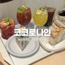 광주 동명동 케이크 1티어 맛집 코코로나인 후기