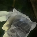 1공단로6길2L-3 | 누가 여름엔 입맛 없다고 했냐? 입맛이 너무 많아서 문제인 여름 일상🌿
