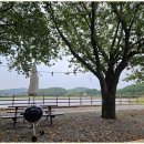 꽃지늘봄펜션 이미지