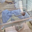 한나여성의원 이미지