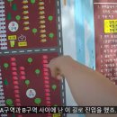 초전마을야영장 이미지