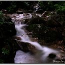 치악산자연휴양림 이미지