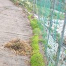 석구농장 이미지