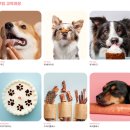 애견코리아 | 아이 알러지 걱정 끝! 코리아펫아카데미 애견간식학원 비건 원데이 클래스 후기