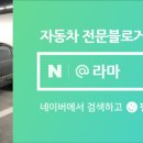 815네트웍스 이미지