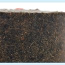 (주)임창 이미지