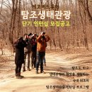 에코버드투어