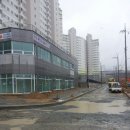 삼도메디칼 Daum카페