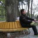 연일정씨배산문중 이미지