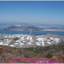 영취산(靈鷲山)＜주제 : 인간과 자연이 함께하는 축제＞ 이미지