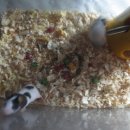 마마우스 이미지