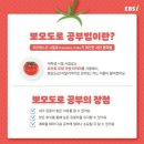 뽀모도로 이미지