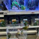 교촌목장 이미지