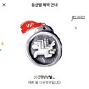 비마트 이미지