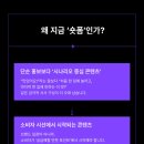 내가 만드는 숏폼(릴스) 영상 이미지