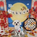 차차네 유치원 이미지