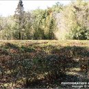 고산윤선도유적지 이미지