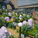 (주)몬스터랩스 이미지