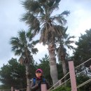 종달바당 이미지