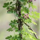 민속한의원 이미지