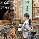 번풍목장 | 제주 목장 카페 밭디 승마·먹이주기·자전거 풀코스후기