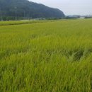 헬로서치주 이미지