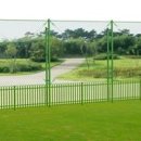 어남약쑥 이미지