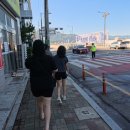 제18회_정남진_장흥_물축제 | 제18회 정남진 장흥 물축제