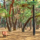 영조농장 이미지