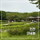 그늘막79 | 인천대공원 나들이 후기, 주차 팁부터 동물원 산책로까지 완벽 정리