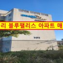 서귀포하나로공인중개사사무소 이미지