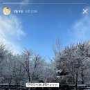 청학고등학교 | ㅇㅏㄴㄴㅕㅇㅎㅏㅅㅔㅇㅛ