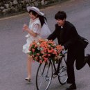 트리아관광호텔 | [공지] 추가금'파티'는 누굴 위한 파티인가｜플래너 없이 결혼준비🤍wedding07