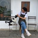 삽교커피클래식