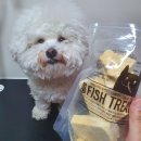 바른통상 이미지