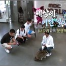 부산여행사주