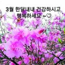 좋은인연 이미지